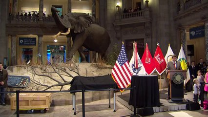 Tiranosaurio llega a Washington