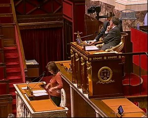 DEBAT D’ORIENTATION DES FINANCES PUBLIQUES POUR 2010 - Mercredi 1 Juillet 2009