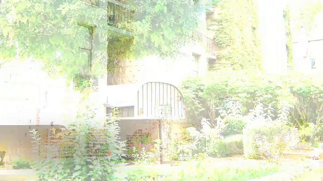 Ogden Properties Apartments in Milwaukee, WI - ForRent.com