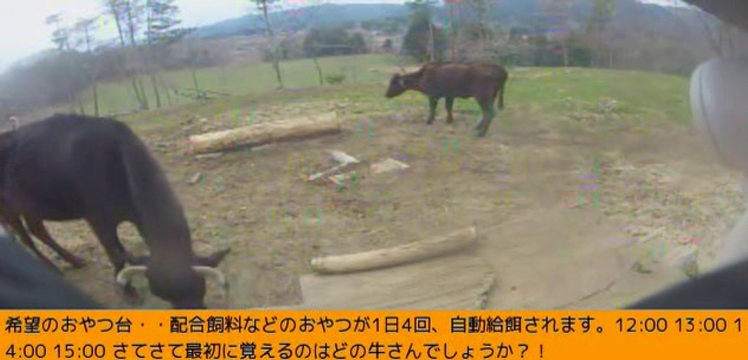 2014-03-22 11-54　牧場三号機　ゆったり