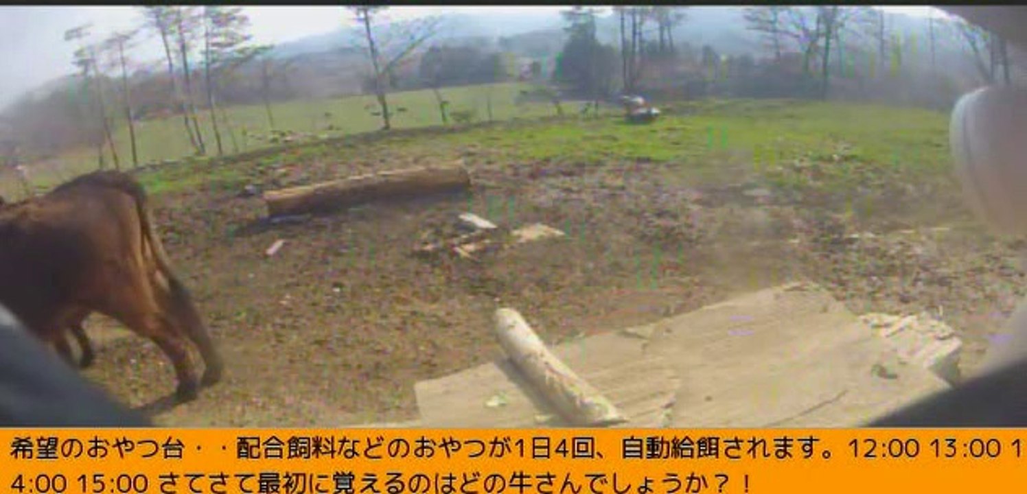 2014-03-27 13-47　牧場３号機　シズお姉さん