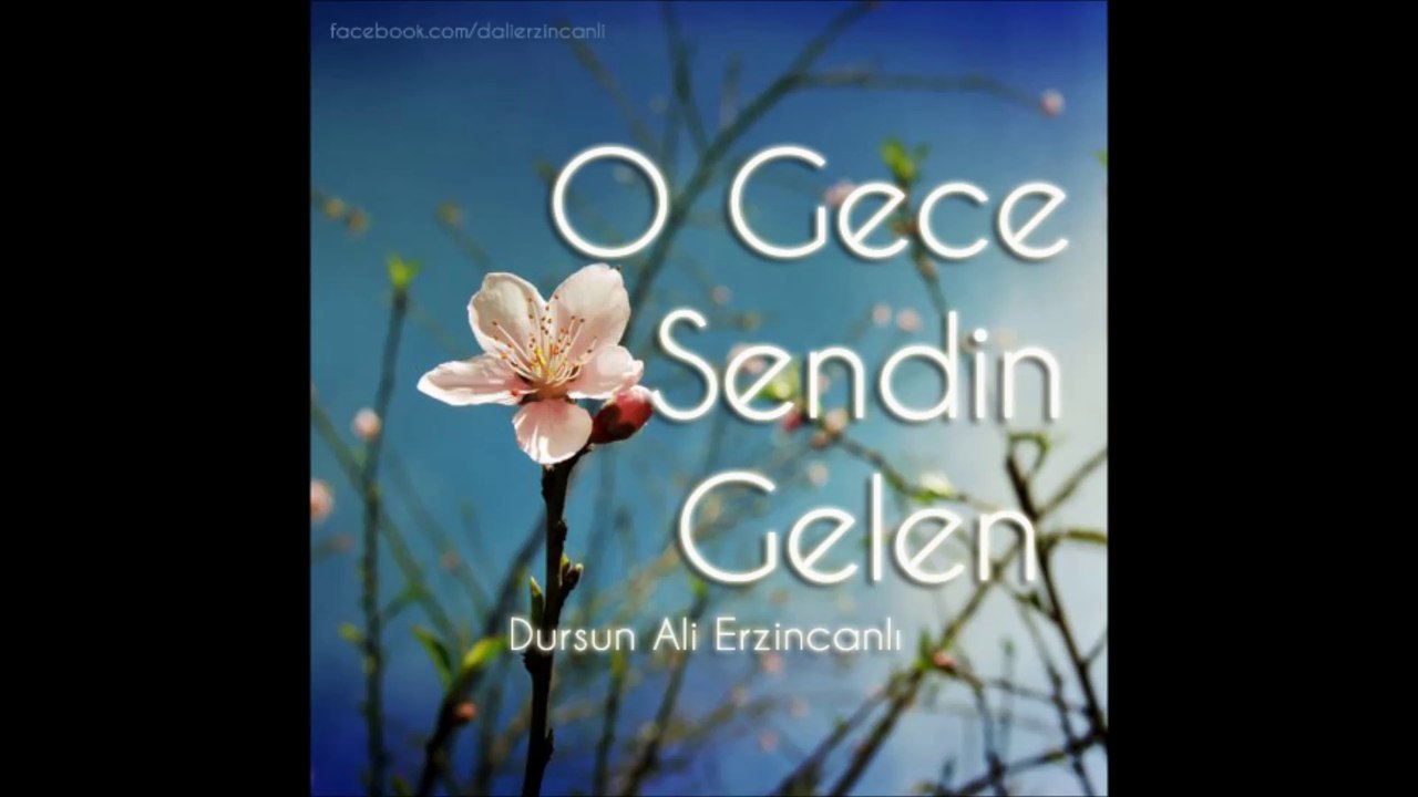 O Gece Sendin Gelen - Dursun Ali Erzincanlı