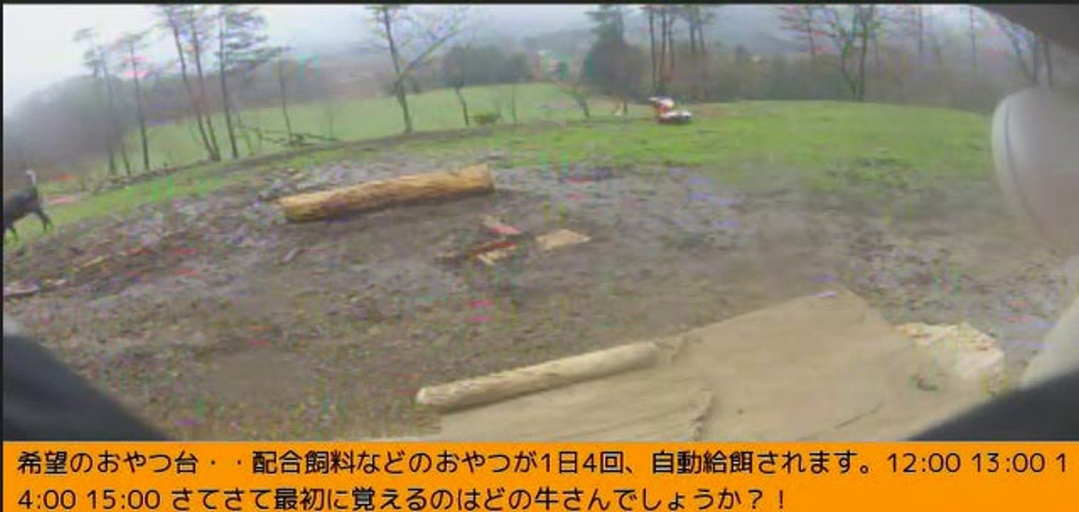 2014-03-30 11-26　牧場三号機　穏やかな一日
