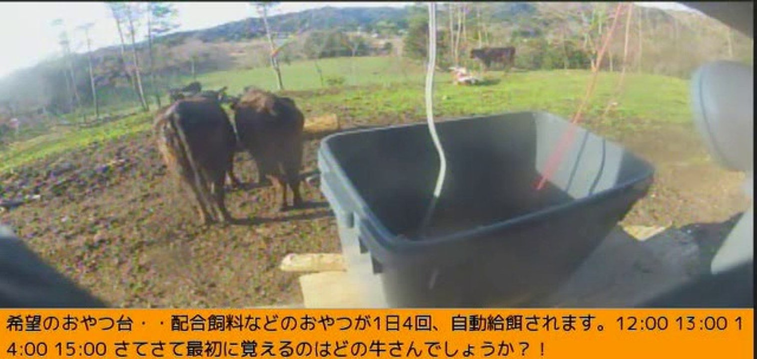 2014-03-31 06-27 牧場三号機　バケツが落ちてきた