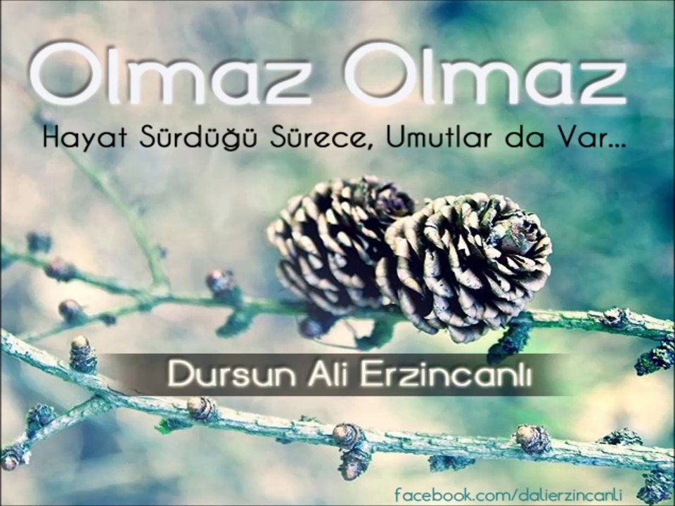 Yeşilaşk - Olmaz Olmaz - Dursun Ali Erzincanlı