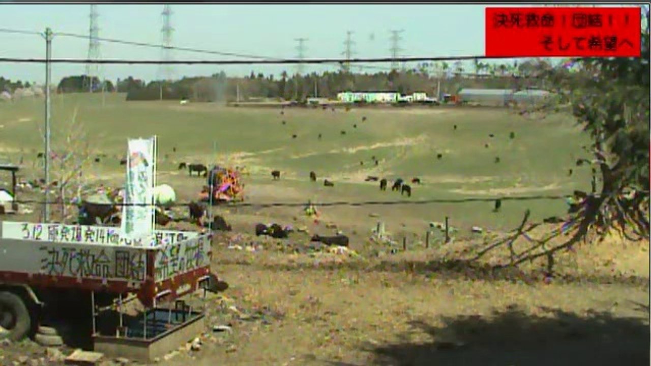 2014-04-15 11-11 牧場1号機　午前中のまったり時間