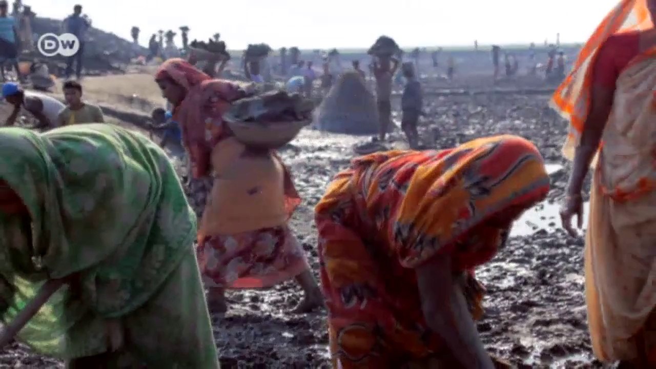 Bangladeschs letzte Delfine schützen | Global ideas