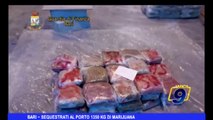 Bari | Sequestrati al porto 1350 kg di Marijuana