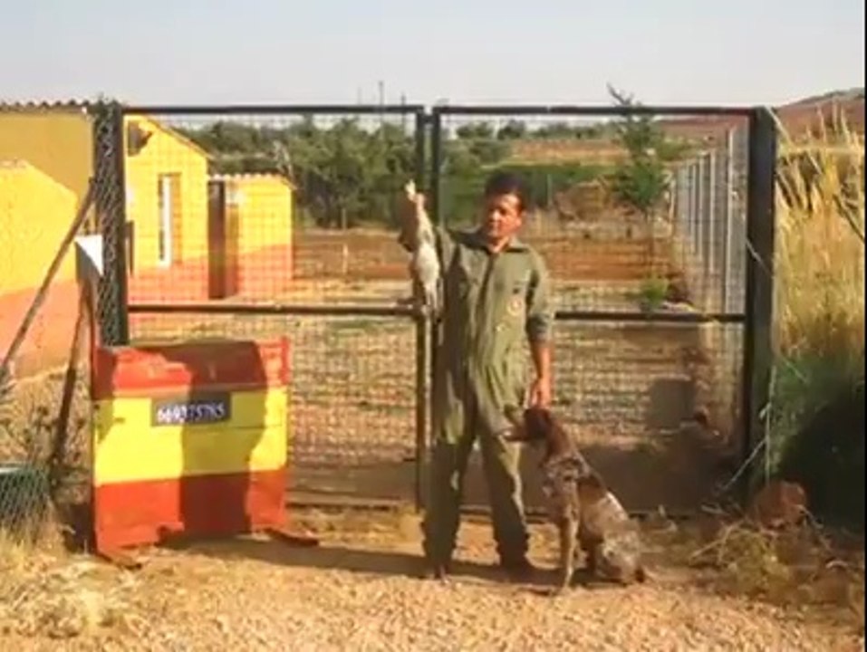 drahtar ve aport