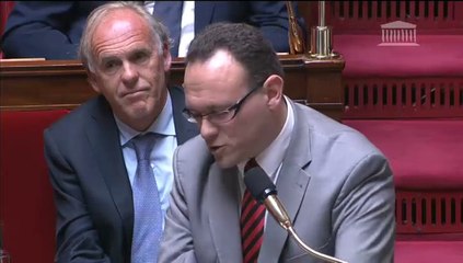 Damien Abad - Nomination d'Harlem Désir