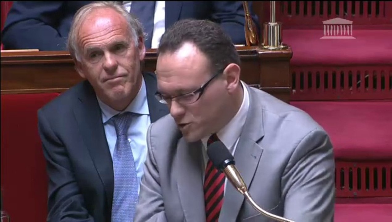 Damien Abad - Nomination d'Harlem Désir