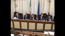 Roma - Audizione Ministro Alfano su immigrazione (15.04.14)