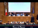 Roma - Le Regioni e le riforme costituzionali (14.04.14)
