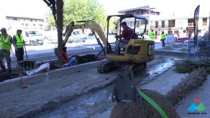 Plantation des palmiers place Charles de Gaulle