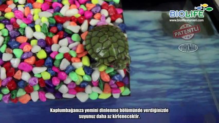 internet   Kısa   Biolife Kaplumbağa Akvaryum mp4