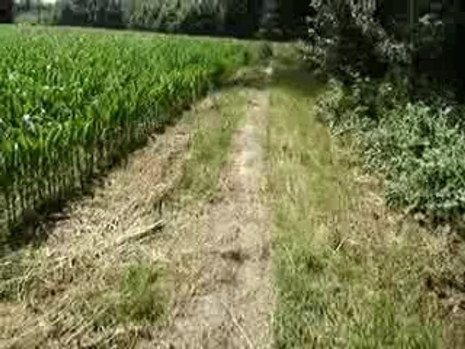 john rate son virage