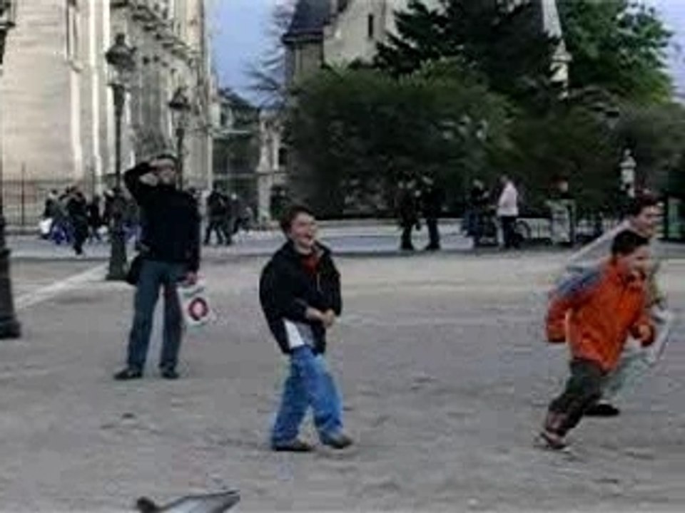 Les pigeons de Notre Dame