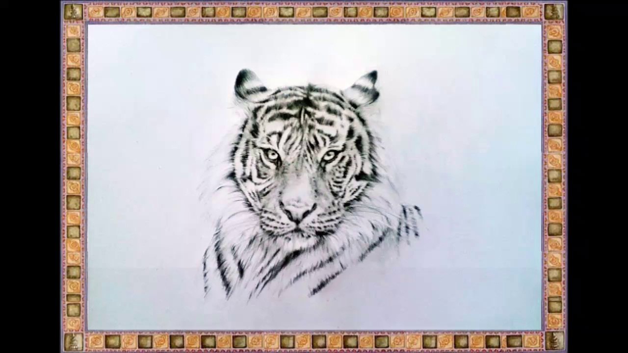 How to Draw a Tiger's Face Step by Step