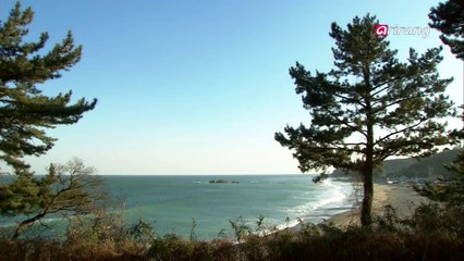 100 Icons of Korean Culture Ep34