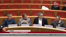 Table ronde sur l'éducation au numérique - En séance