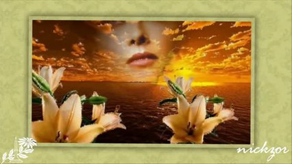 Nilüfer - Sevgi Tam Olmalı