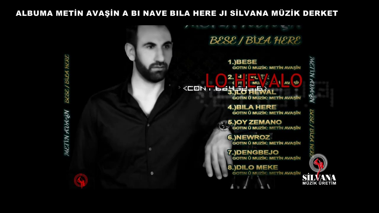 Metin Avaşin - Tizır - (2013)