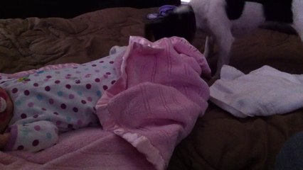 Dog covers baby with blanket