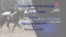 Grand National de Dressage Haras de Jardy. Reprise de Stéphanie Brieussel et Amorak JO/JEM