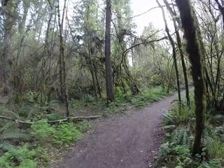 Tualatin Hills Nature Park 3