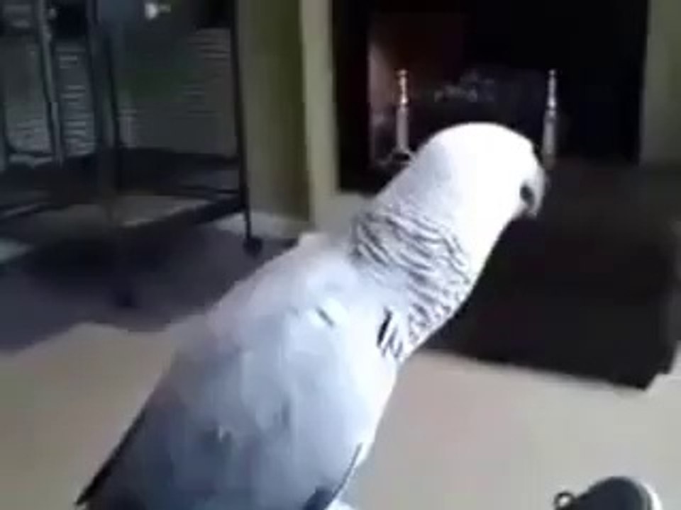 Don't touch me!!!!