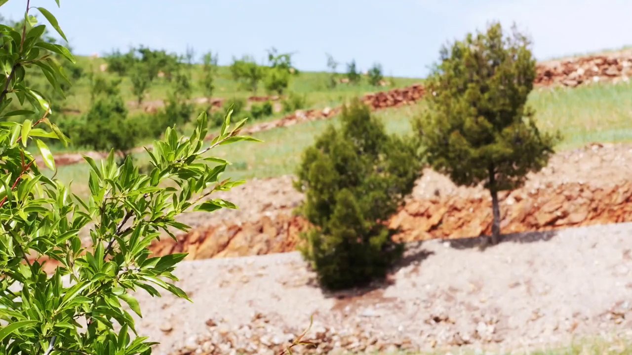 Porsche Macan Turbo: Ab durch die Wüste!