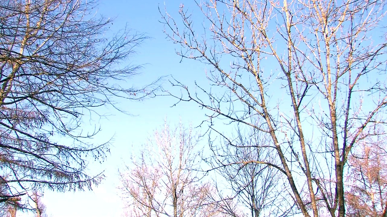 Fiat 500L Living: Kaffee-Bar auf Rädern - Test & Fahrbericht