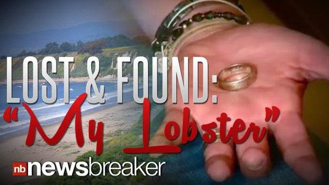 LOST AND FOUND: Unique My Lobster Wedding Ring Discovered in Santa Barbara, Returned to Owner Two Years Later