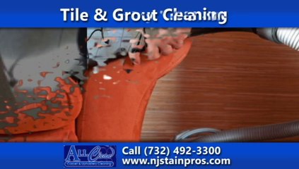 Lakewood Carpet Cleaning Company | All Clean Carpet & Upholstery