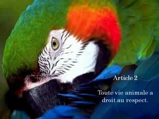 DÉCLARATION UNIVERSELLE DES DROITS DE L'ANIMAL