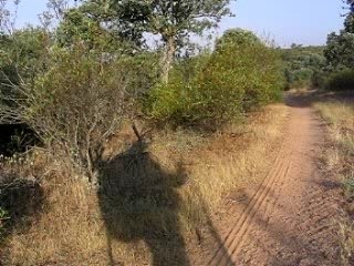 Vers compostelle sur la ruta de la plata