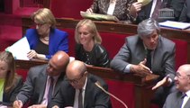 Les roms à Paris : les députés UMP offensifs à l'Assemblée