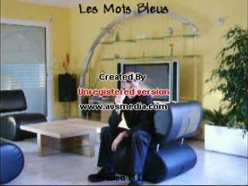 MIC-CLIP-Les Mots Bleus
