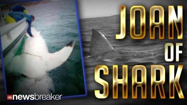 JOAN OF SHARK: 16 Foot Great White Found Lurking Off Coast of Australia Could Be Biggest Ever Found