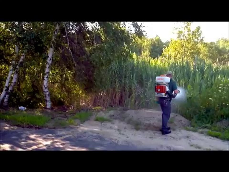 Pest Control In Boston, Amesbury, MA and NH