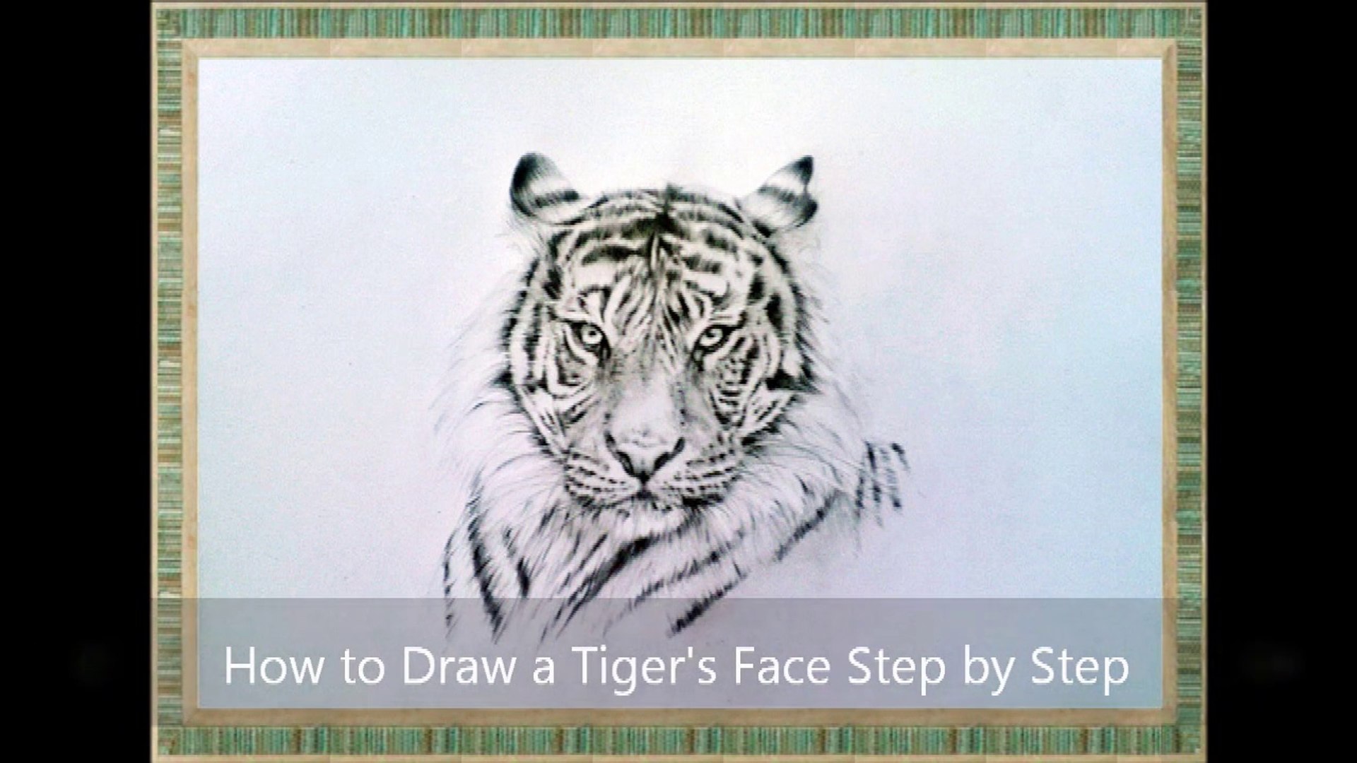 How to Draw a Tiger's Face Step by Step / Part 2, image size:1920x1080