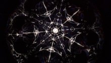 Pentagon Radiolaria