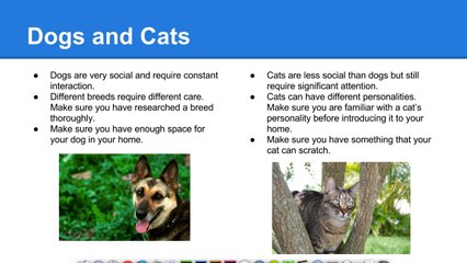 Choosing a Pet - Utah Pet Care