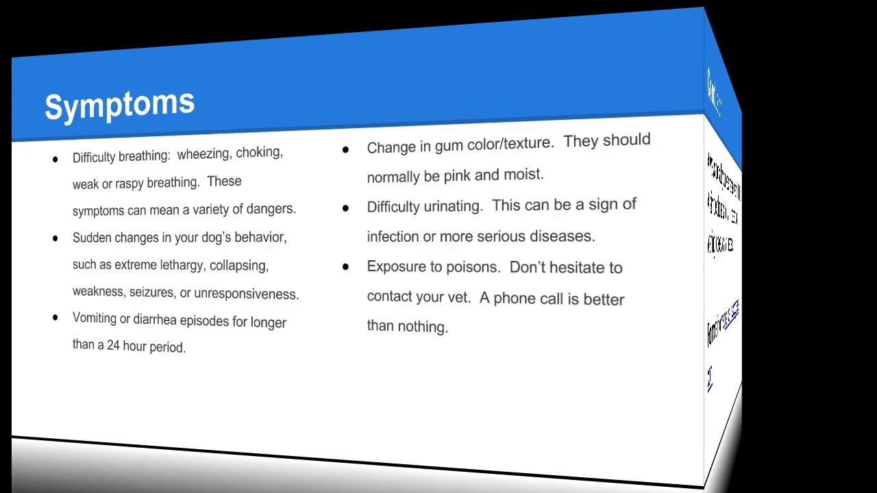 Caring for Sick Pets - Utah Pet Care