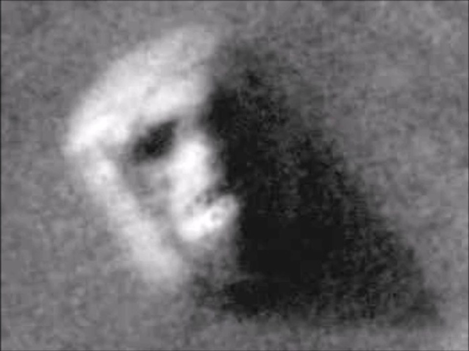 Face on Mars - The Bug