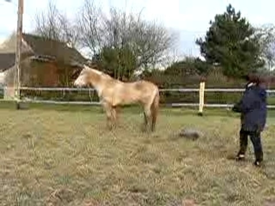 Lahire saut