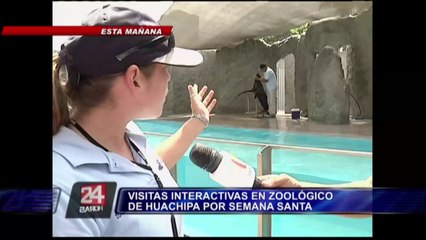 Semana Santa: visitantes podrán interactuar con animales del parque de Huachipa