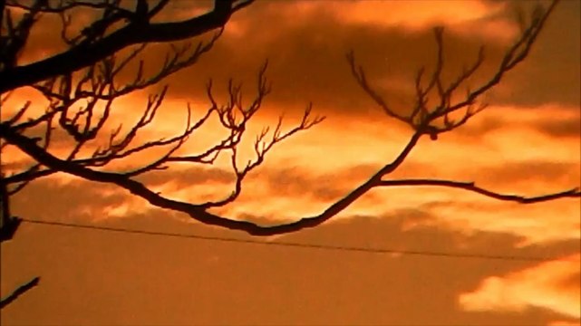 Scepter Root - Cool Rap ''Remix'' (Produced By Joseph Oyewole)