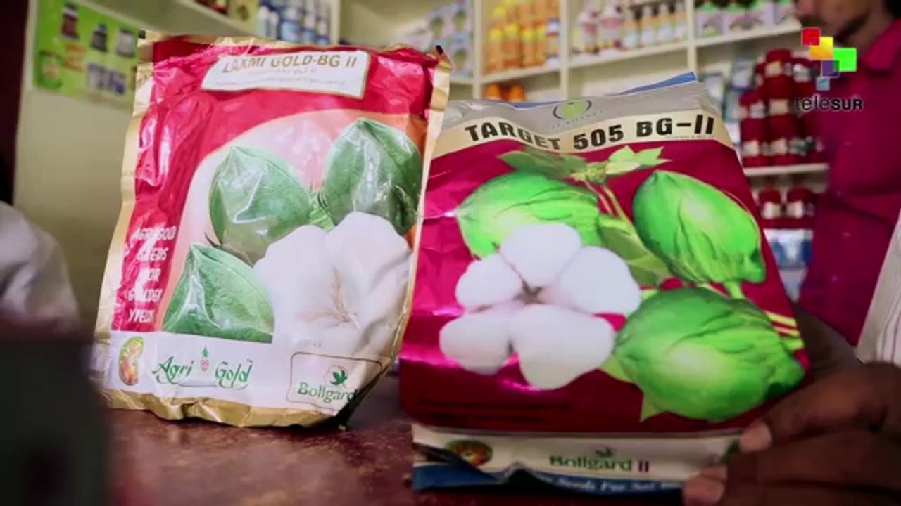 Dueños de la semilla, los dueños del mundo