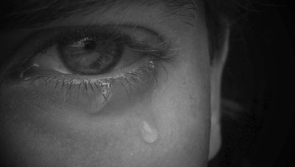 where they fall by michael hermiston (original)